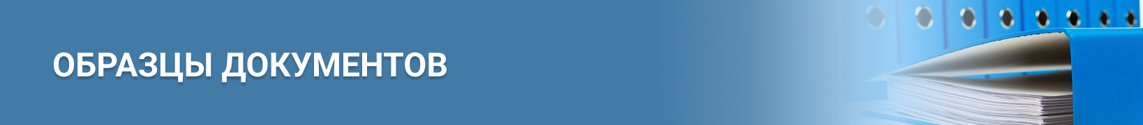 category description